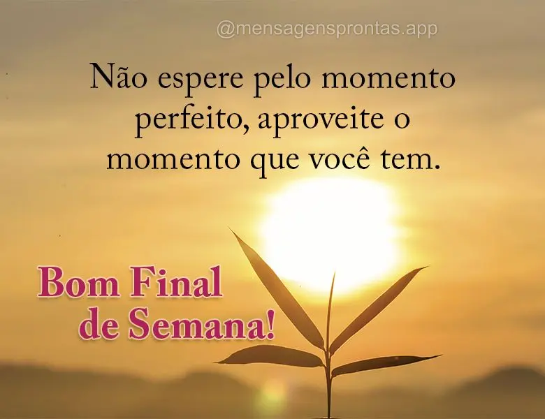 Não espere pelo momento perfeito, aproveite o momento que você tem. Bom Final de Semana!
