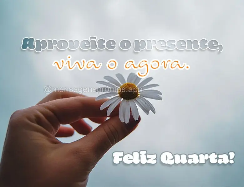 Aproveite o presente, viva o agora. Feliz Quarta-feira!