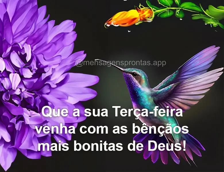 Que a sua Terça-feira venha com as bênçãos mais bonitas de Deus!
