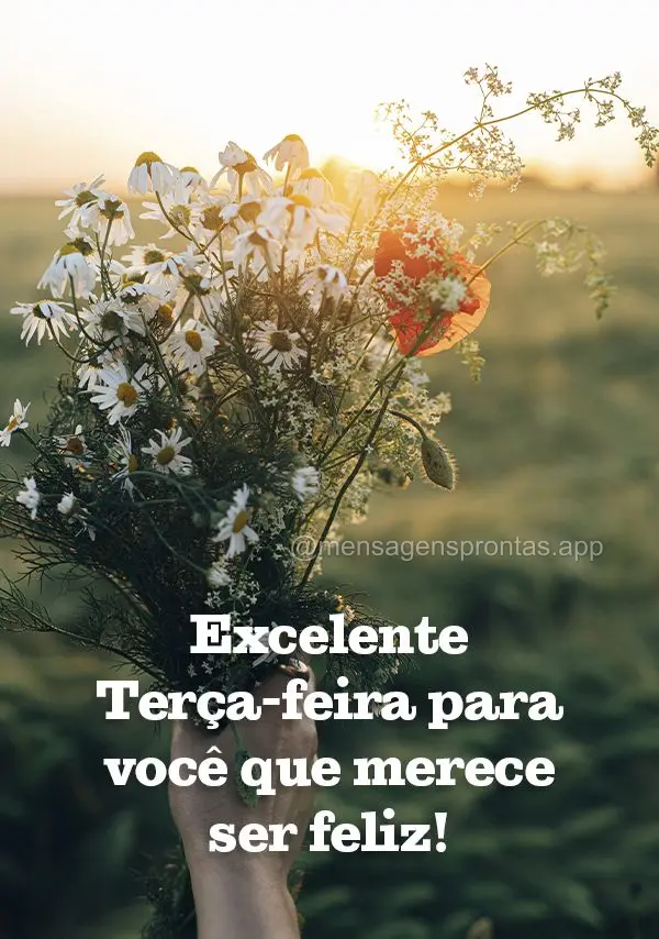 Excelente Terça-feira para você que merece ser feliz!