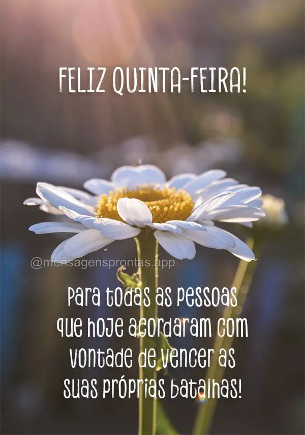 Feliz Quinta-feira! Para todas as pessoas que hoje acordaram com vontade de vencer as suas próprias batalhas!