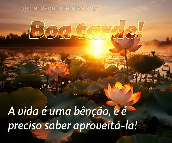 A vida é uma bênção, e é preciso saber aproveitá-la! Boa tarde!