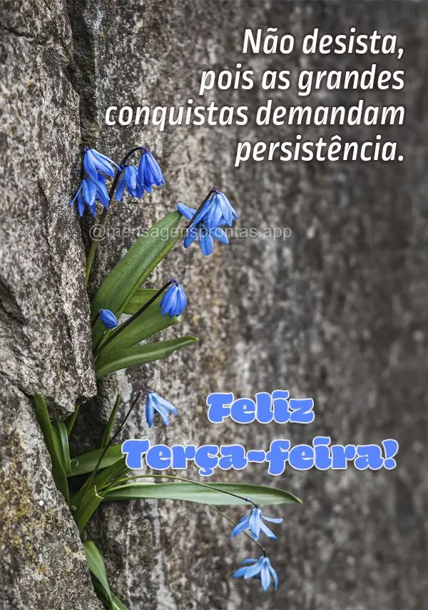 Não desista, pois as grandes conquistas demandam persistência. Feliz Terça-feira!