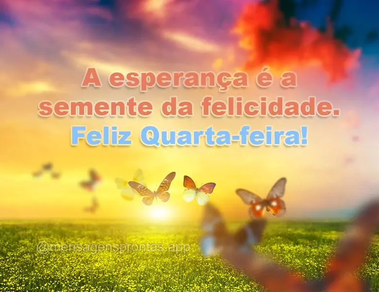 A esperança é a semente da felicidade. Feliz Quarta-feira!