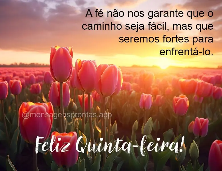 A fé não nos garante que o caminho seja fácil, mas que seremos fortes para enfrentá-lo. Feliz Quinta-feira!