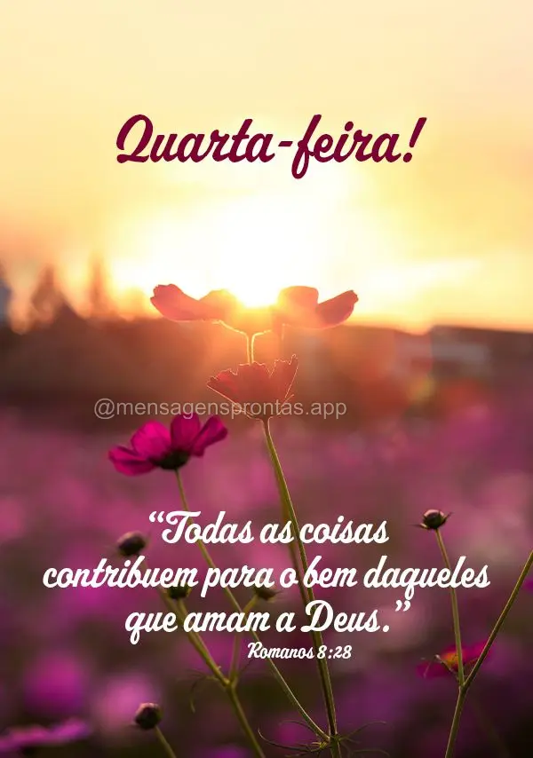 “Todas as coisas contribuem para o bem daqueles que amam a Deus.” Quarta-feira! Romanos 8:28