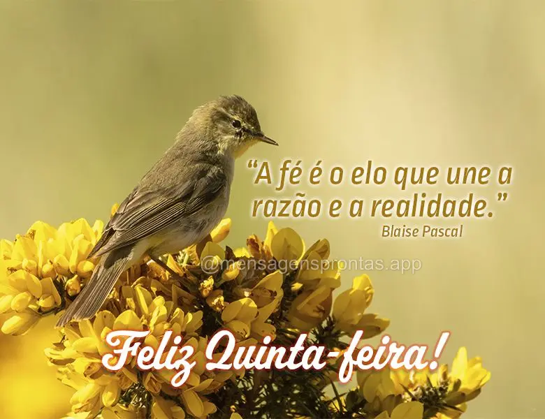 “A fé é o elo que une a razão e a realidade.” Feliz Quinta-feira! Blaise Pascal