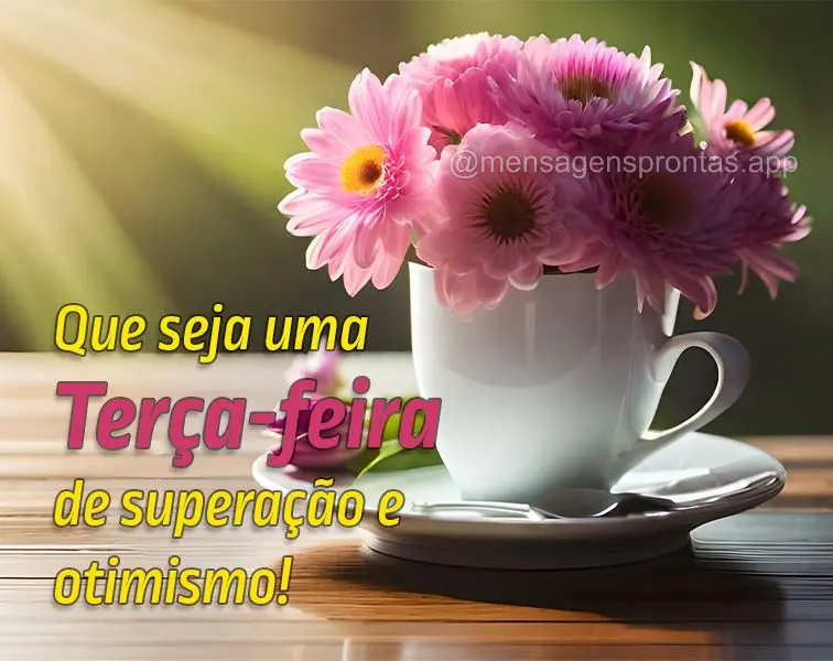 Que seja uma Terça-feira de superação e otimismo!