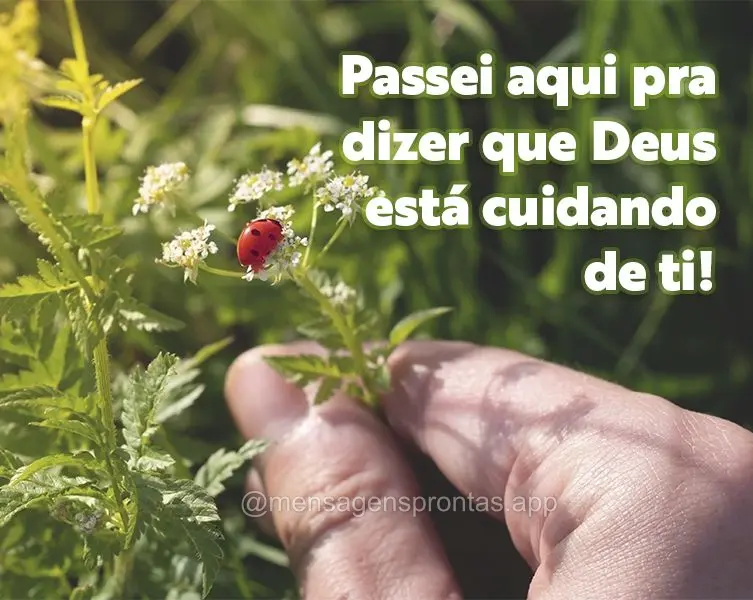 Passei aqui pra dizer que Deus está cuidando de ti! 
