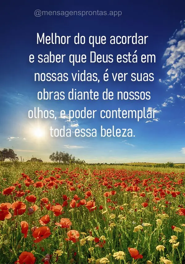 Melhor do que acordar e saber que Deus está em nossas vidas, é ver suas obras diante de nossos olhos, e poder contemplar toda essa beleza.