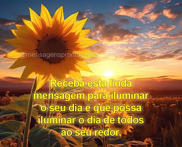 Receba esta linda mensagem para iluminar o seu dia e que possa iluminar o dia de todos ao seu redor.
