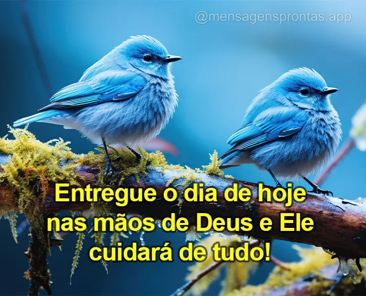 Entregue o dia de hoje nas mãos de Deus e Ele cuidará de tudo!