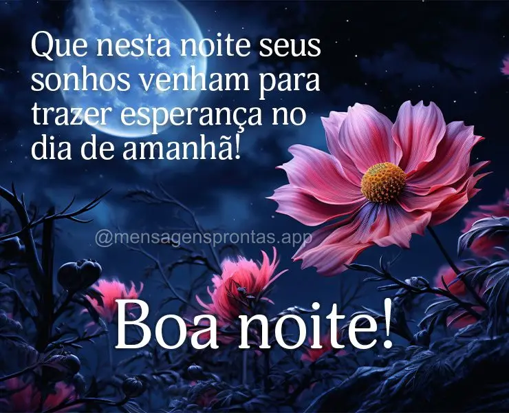 Que nesta noite seus sonhos venham para trazer esperança no dia de amanhã! Boa noite!