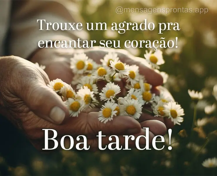 Trouxe um agrado pra encantar seu coração! Boa tarde!