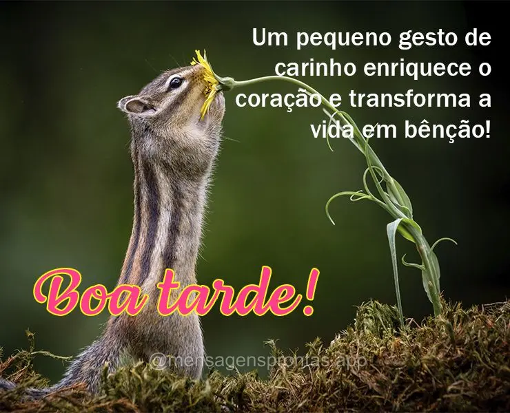 Um pequeno gesto de carinho enriquece o coração e transforma a vida em bênção! Boa tarde!
