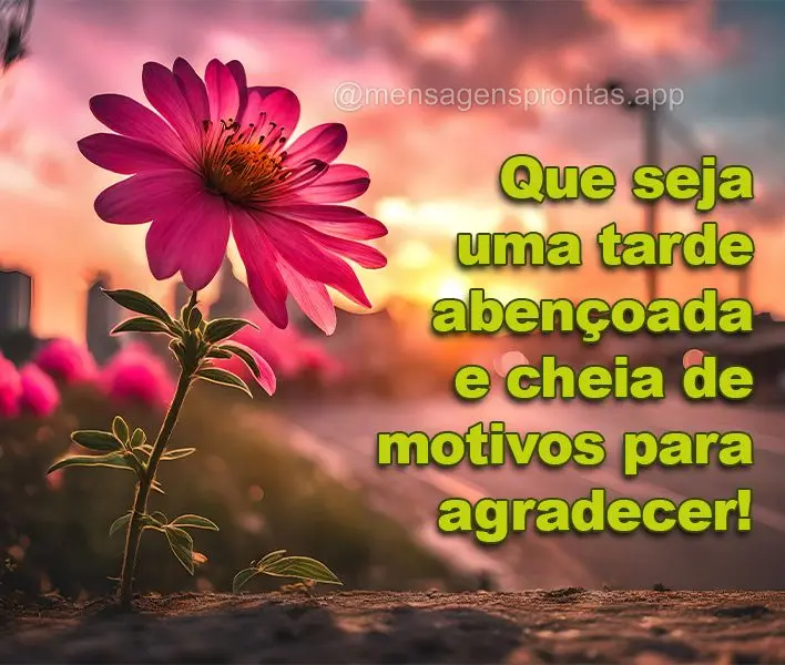 Que seja uma tarde abençoada e cheia de motivos para agradecer!