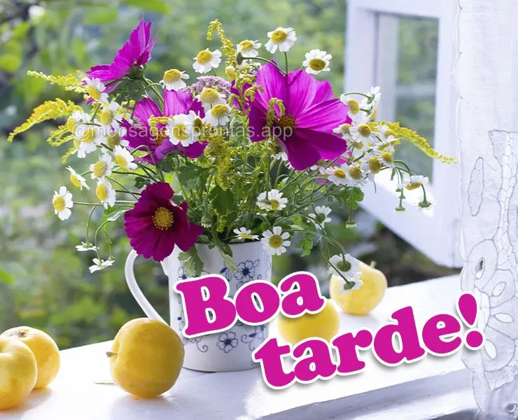Boa tarde!