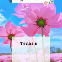 Tenha um lindo dia em companhia de boas amizades! Bom dia!