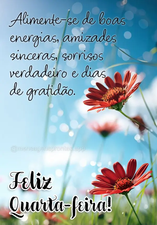 Alimente-se de boas energias, amizades sinceras, sorrisos verdadeiro e dias de gratidão. Feliz Quarta-feira!
