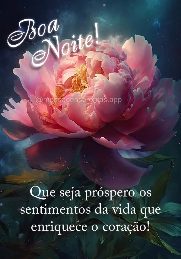 Que seja próspero os sentimentos da vida que enriquece o coração! Boa noite!