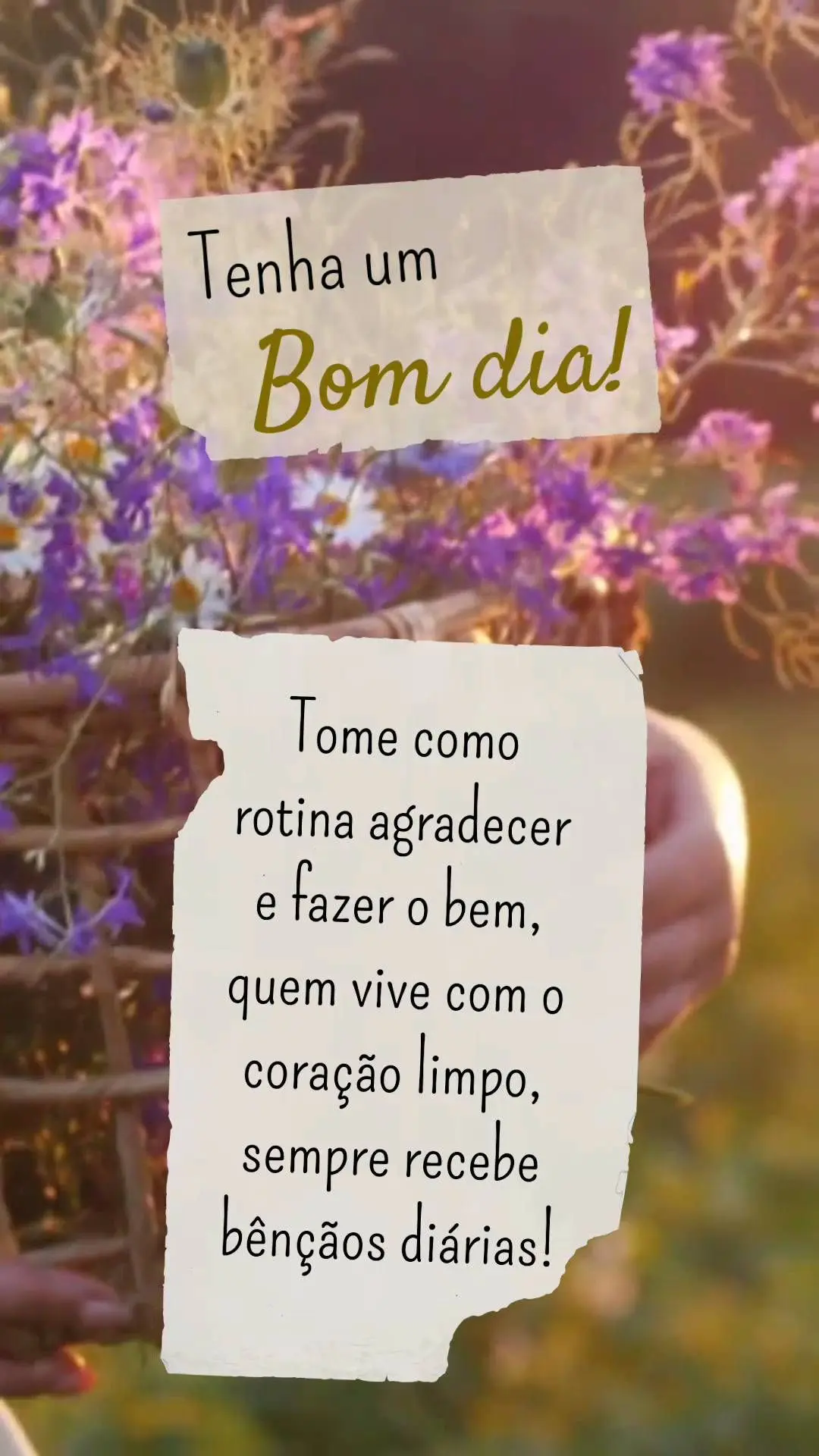 Tome como rotina agradecer e fazer o bem, quem vive com o coração limpo, sempre recebe bênçãos diárias! Bom dia!