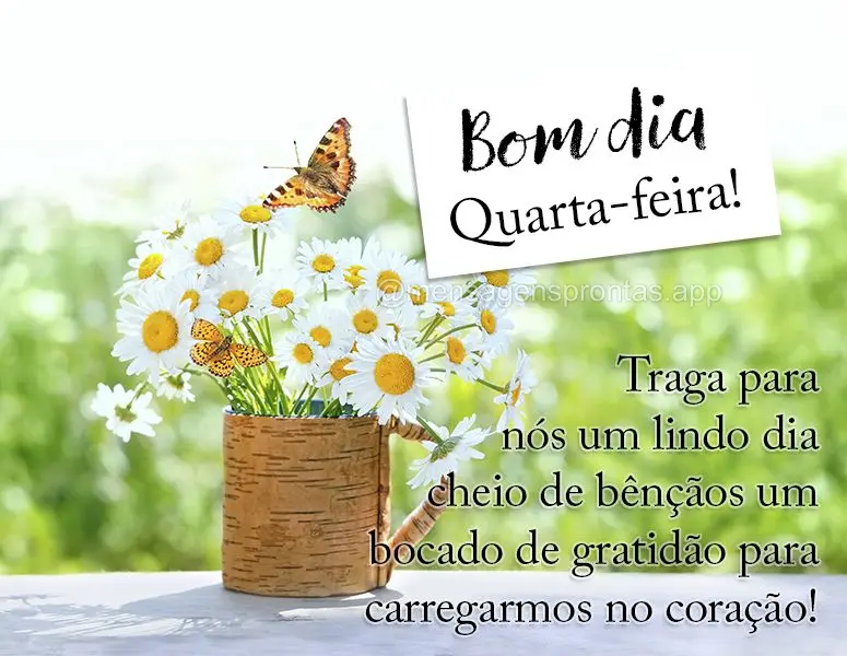 Traga para nós um lindo dia cheio de bênçãos um bocado de gratidão para carregarmos no coração! Bom dia Quarta-feira! 