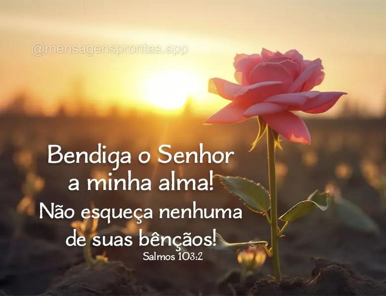 Bendiga o Senhor a minha alma! Não esqueça nenhuma de suas bênçãos! Salmos 103:2