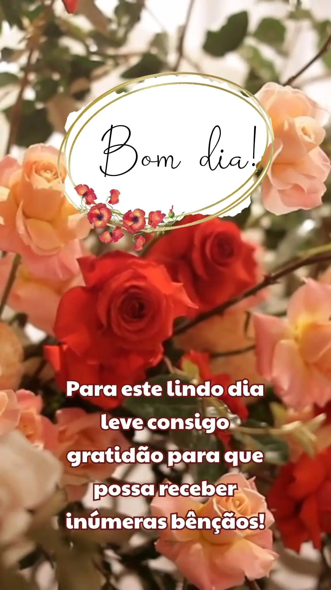 Para este lindo dia leve consigo gratidão para que possa receber inúmeras bênçãos!  Bom dia!
