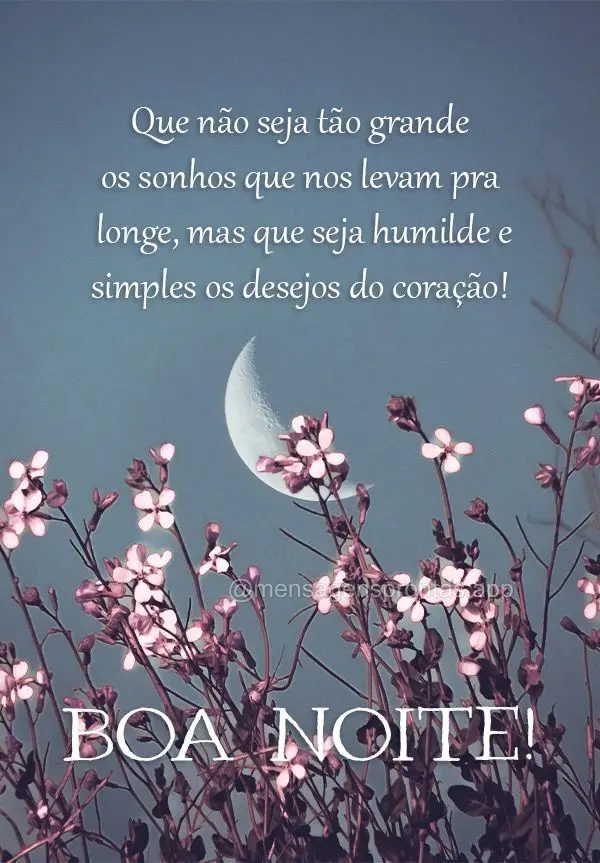 Que não seja tão grande os sonhos que nos levam pra longe, mas que seja humilde e simples os desejos do coração! Boa noite! 