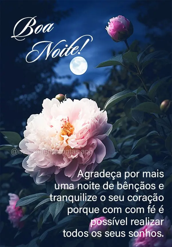 Agradeça por mais uma noite de bênçãos e tranquilize o seu coração porque com com fé é possível realizar todos os seus sonhos. Boa noite!