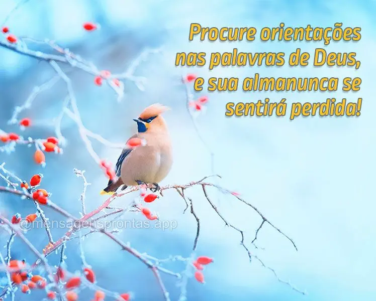 Procure orientações nas palavras de Deus, e sua alma nunca se sentirá perdida!