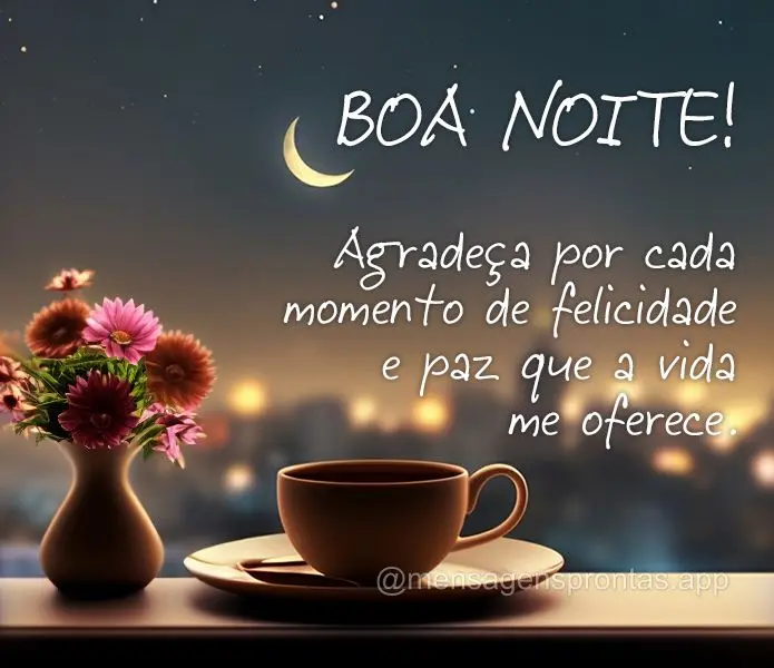 Agradeça por cada momento de felicidade e paz que a vida me oferece. Boa noite!