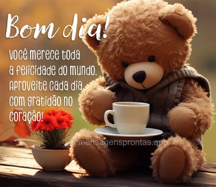 Você merece toda a felicidade do mundo. Aproveite cada dia com gratidão no coração! Bom dia!