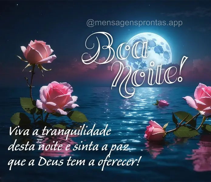 Viva a tranquilidade desta noite e sinta a paz que a Deus tem a oferecer! Boa noite! 