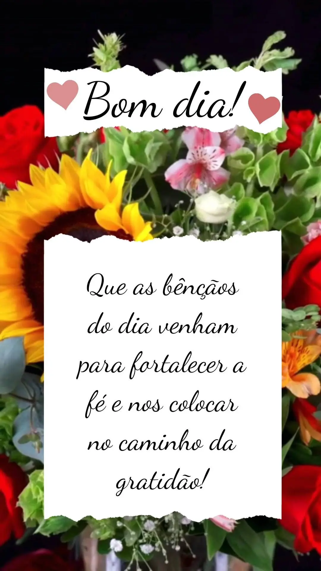 Que as bênçãos do dia venham para fortalecer a fé e nos colocar no caminho da gratidão!  Bom dia!