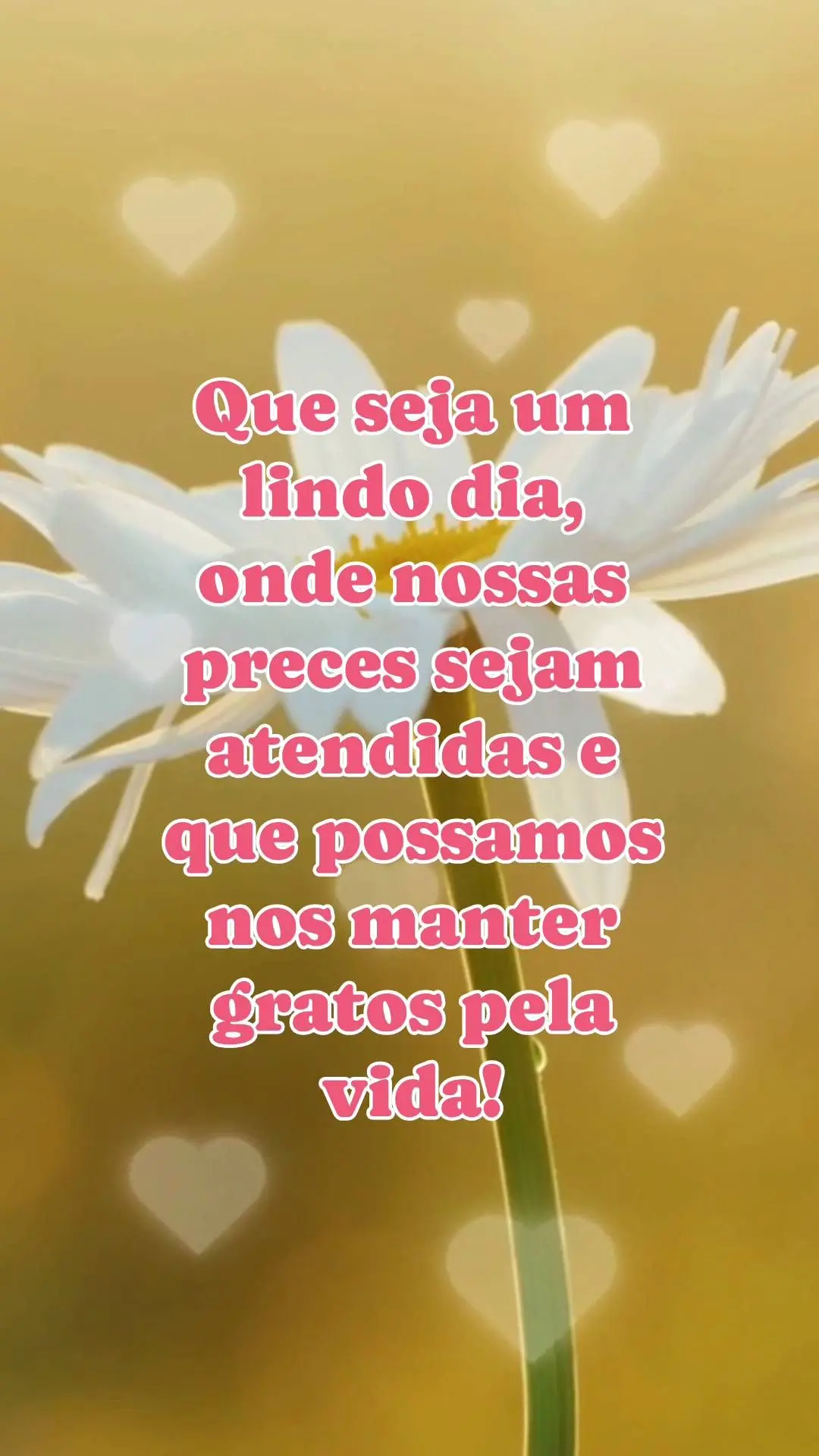 Que seja um lindo dia, onde nossas preces sejam atendidas e que possamos nos manter gratos pela vida!
