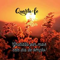 Gratidão por mais este dia de bênção! Quarta-feira