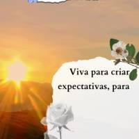 Viva para criar expectativas, para realizar sonhos, para desfrutar das coisas simples, ser feliz com pequenas vitórias e escrever sua própria história...