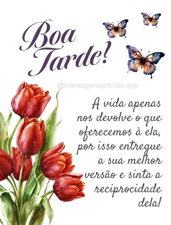 A vida apenas nos devolve o que oferecemos à ela, por isso entregue a sua melhor versão e sinta a reciprocidade dela! Boa tarde!