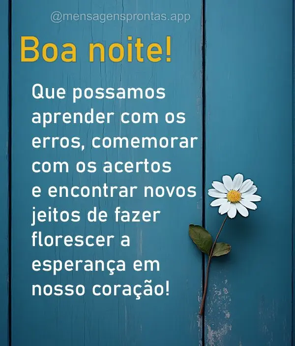 Que possamos aprender com os erros, comemorar com os acertos e encontrar novos jeitos de fazer florescer a esperança em nosso coração! Boa noite!