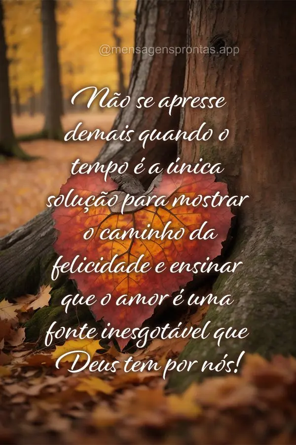 Não se apresse demais quando o tempo é a única solução para mostrar o caminho da felicidade e ensinar que o amor é uma fonte inesgotável que Deus ...