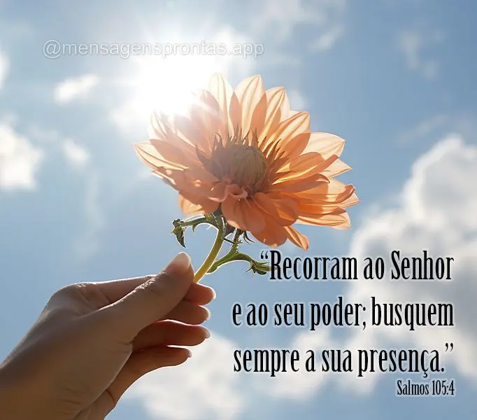 "Recorram ao Senhor e ao seu poder; busquem sempre a sua presença." Salmos 105:4 