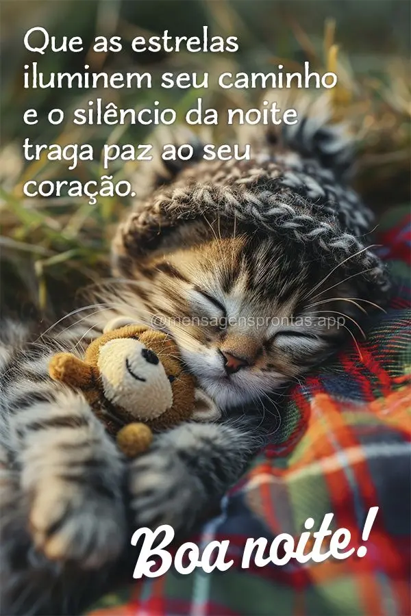 Que as estrelas iluminem seu caminho e o silêncio da noite traga paz ao seu coração. Boa noite!