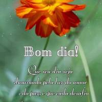 Que seu dia seja iluminado pela luz do amor e da paz, e que cada desafio seja superado com força e determinação. Bom dia! 