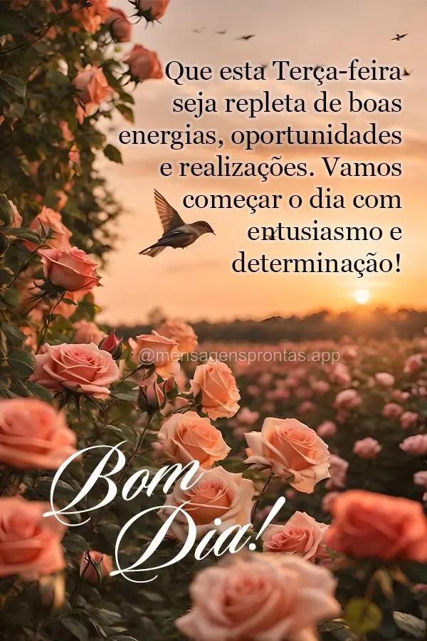 Que esta terça-feira seja repleta de boas energias, oportunidades e realizações. Vamos começar o dia com entusiasmo e determinação! Bom dia!