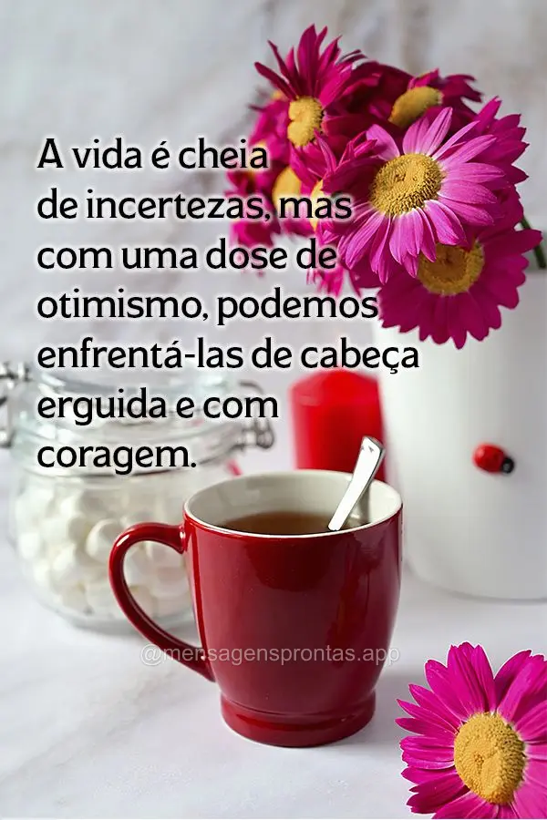 A vida é cheia de incertezas, mas com uma dose de otimismo, podemos enfrentá-las de cabeça erguida e com coragem.