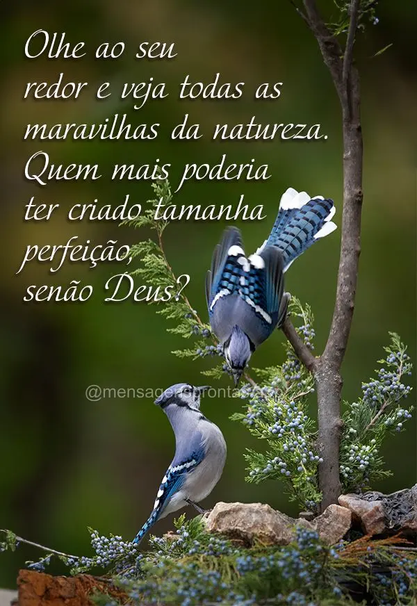 Olhe ao seu redor e veja todas as maravilhas da natureza. Quem mais poderia ter criado tamanha perfeição, senão Deus?