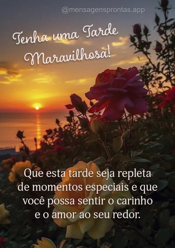 Que esta tarde seja repleta de momentos especiais e que você possa sentir o carinho e o amor ao seu redor. Tenha uma tarde maravilhosa!