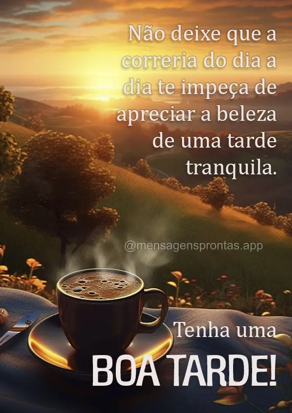 Não deixe que a correria do dia a dia te impeça de apreciar a beleza de uma tarde tranquila. Tenha uma boa tarde!