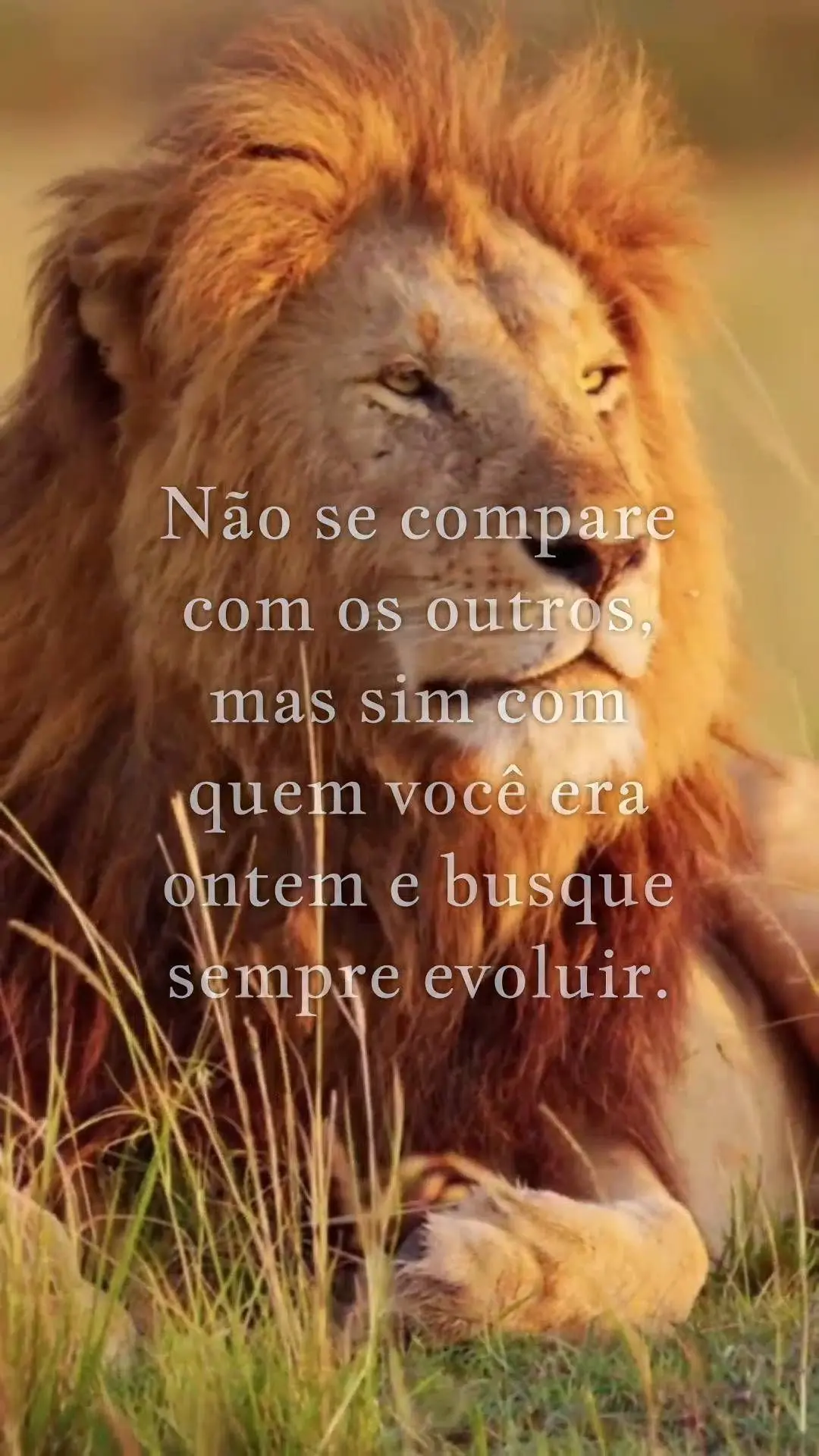 Lembre-se sempre que o 
seu maior concorrente é você mesmo.  Não se compare com os outros, mas sim com quem vo